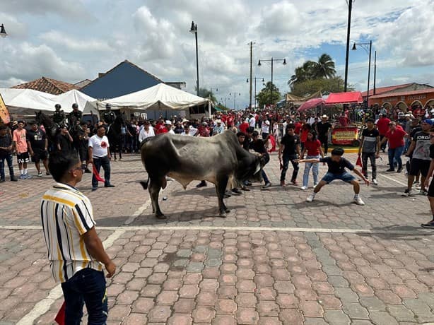 Sueltan los toros por las fiestas de la Candelaria en Tlacotalpan | FOTOS