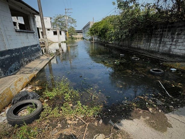 Más de 30 años de vivir sin servicios básicos en Las Amapolas, Veracruz