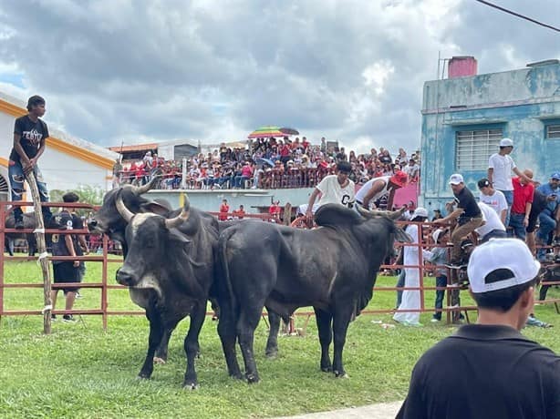 Sueltan los toros por las fiestas de la Candelaria en Tlacotalpan | FOTOS