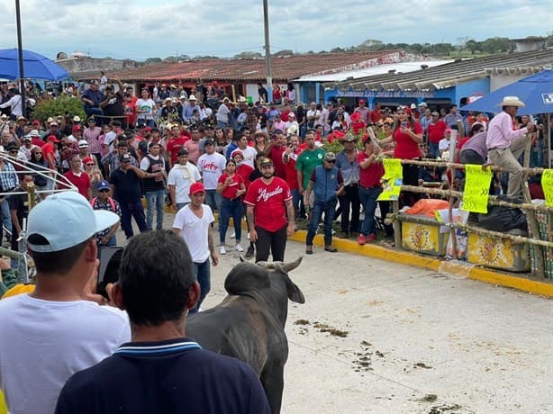 Sueltan los toros por las fiestas de la Candelaria en Tlacotalpan | FOTOS