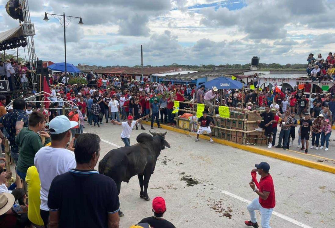 Sueltan los toros por las fiestas de la Candelaria en Tlacotalpan | FOTOS