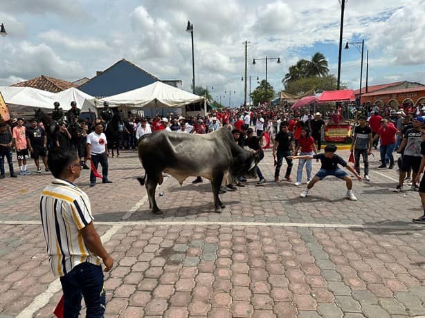 ¿Sabes cuántos lesionados dejó la suelta de toros en Tlacotalpan? Te decimos | VIDEO