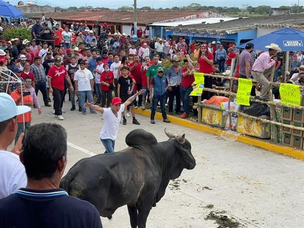 ¿Sabes cuántos lesionados dejó la suelta de toros en Tlacotalpan? Te decimos | VIDEO