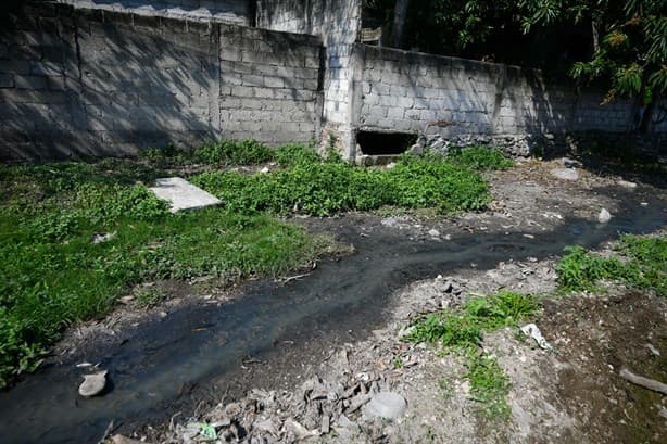 Aguas negras inundan la laguna de Las Caballerizas en Veracruz