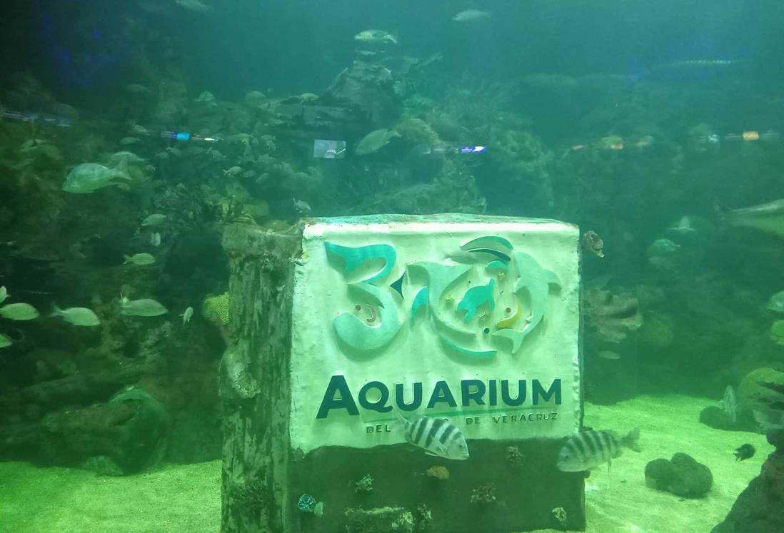 ¿Cuánto dura el recorrido en el Acuario de Veracruz?