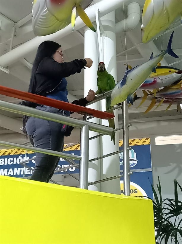 ¿Cuánto dura el recorrido en el Acuario de Veracruz?