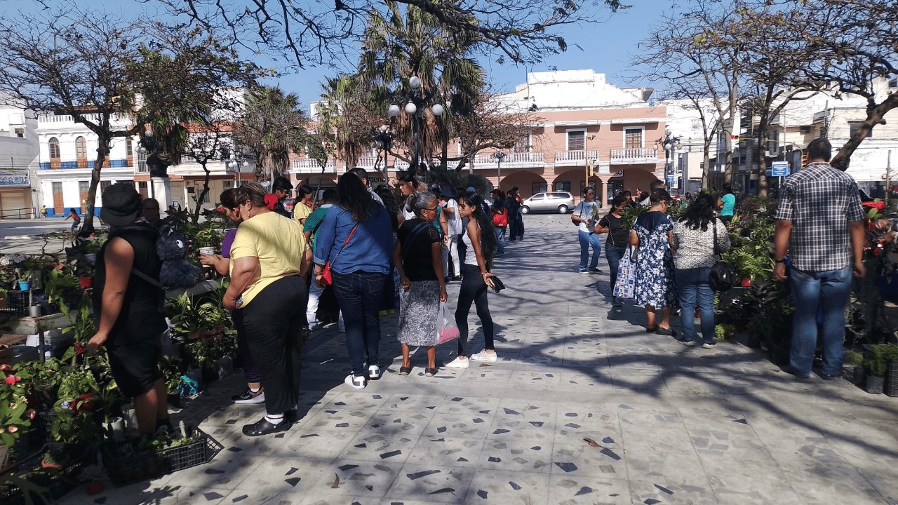 Intercambio masivo de plantas en el Centro Histórico de Veracruz