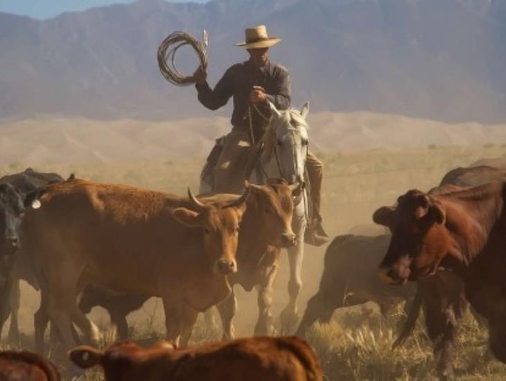 Último vaquero del humedal, hoy colonia Puerto México Tercera parte