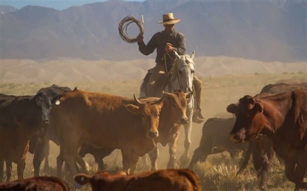 Último vaquero del humedal, hoy colonia Puerto México Tercera parte