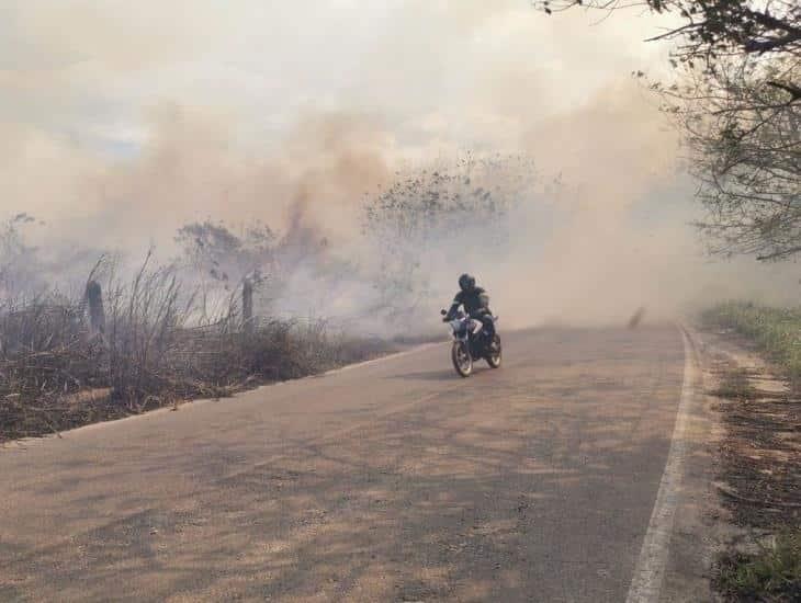 Quema de pastizales de Nanchital a Moloacan pone en riesgo a automovilistas ¡extrema precauciones!