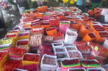 Atentos enamorados, esto subirá el precio de las rosas