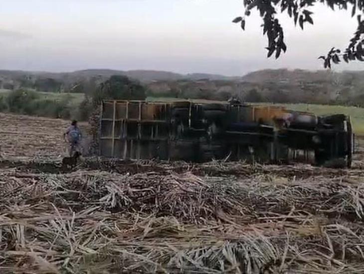 Por exceso de carga camión con caña se vuelca en Paso de Ovejas