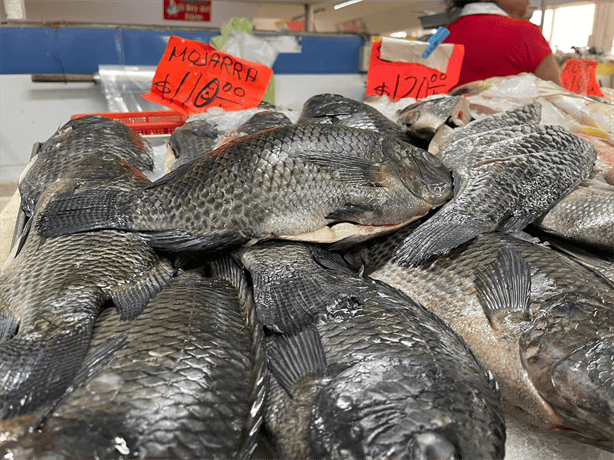 Pescadores del Puerto de Veracruz no prevén alza en precio del marisco por Semana Santa 2024