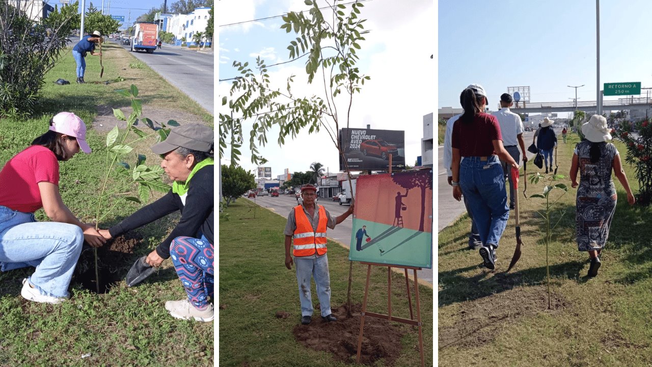 Impacto ambiental cada vez mayor en Veracruz: Alfredo Hernández, activista ecológico