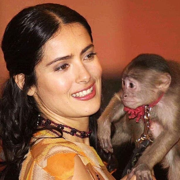 Salma Hayek muestra sus exóticas mascotas y las redes sociales enloquecen