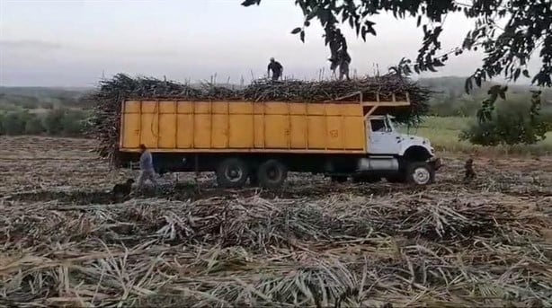 Por exceso de carga camión con caña se vuelca en Paso de Ovejas