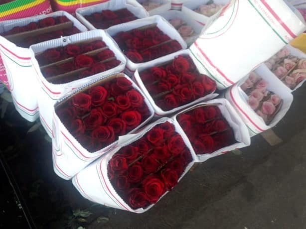 Atentos enamorados, esto subirá el precio de las rosas