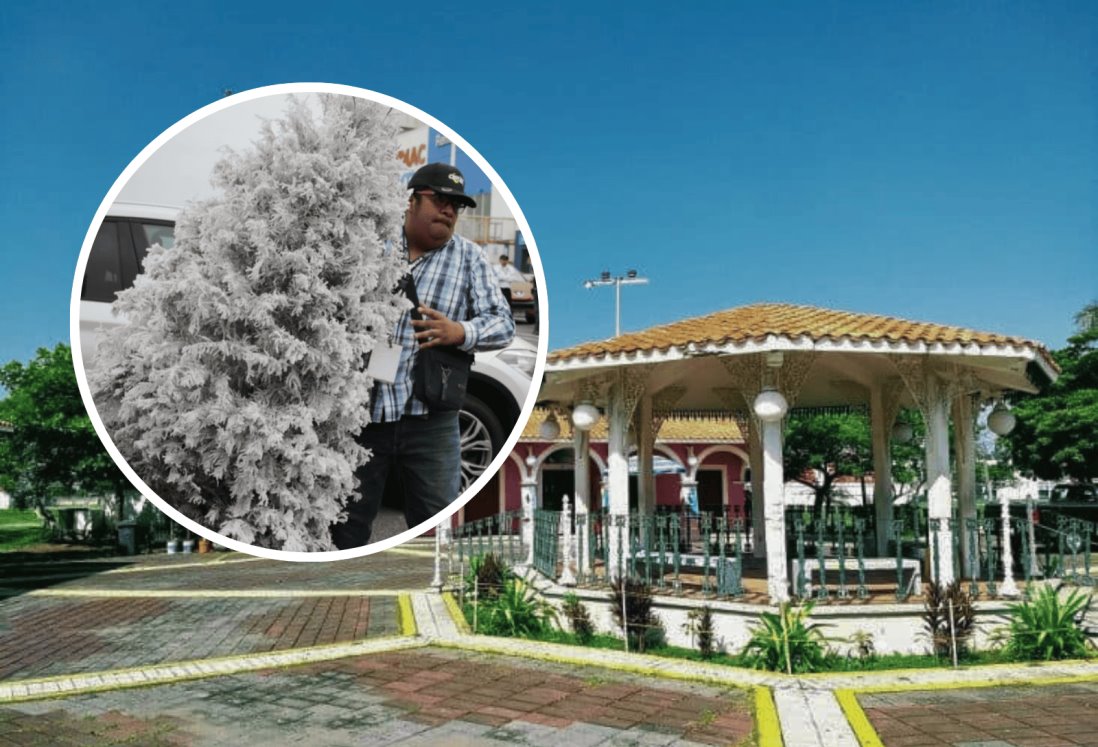 ¿No sabes dónde dejar tu árbol de Navidad en Veracruz? Puedes llevarlo a este centro de acopio