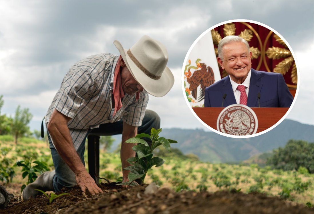 AMLO rescatará al campo en México a través de su paquete de reformas