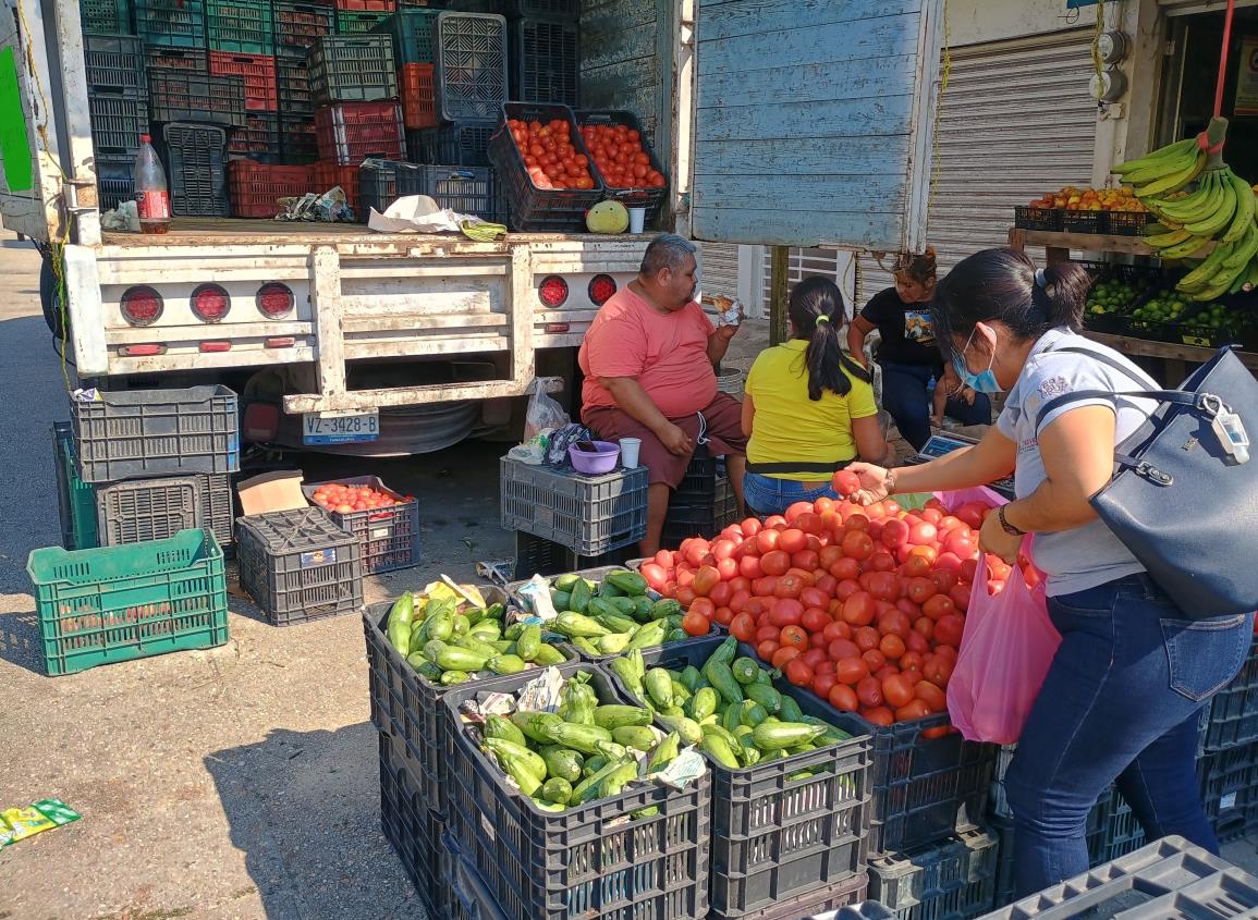 Rematan el tomate en Coatzacoalcos; te decimos precio ¡corre que se acaba! l VIDEO