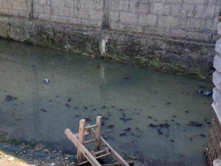 Mujer de Las Choapas denuncia que su vivienda se convirtió en alberca de aguas negras