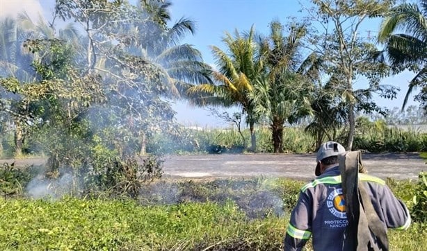 Ante intenso calor, se registran incendios de pastizales en Nanchital