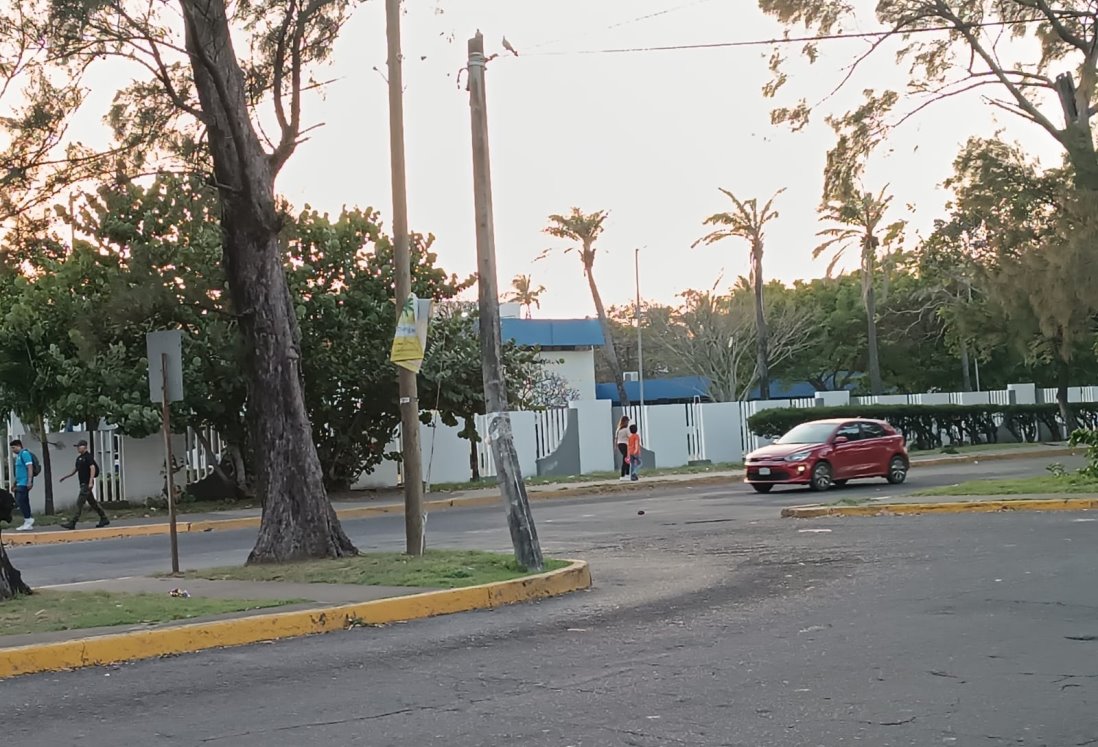 Vecinos de colonia Formando Hogar piden que se retire un poste de luz suelto