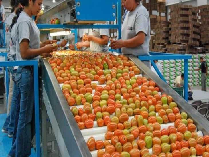 Estos 3 productos alimenticios en México repuntaron en exportaciones