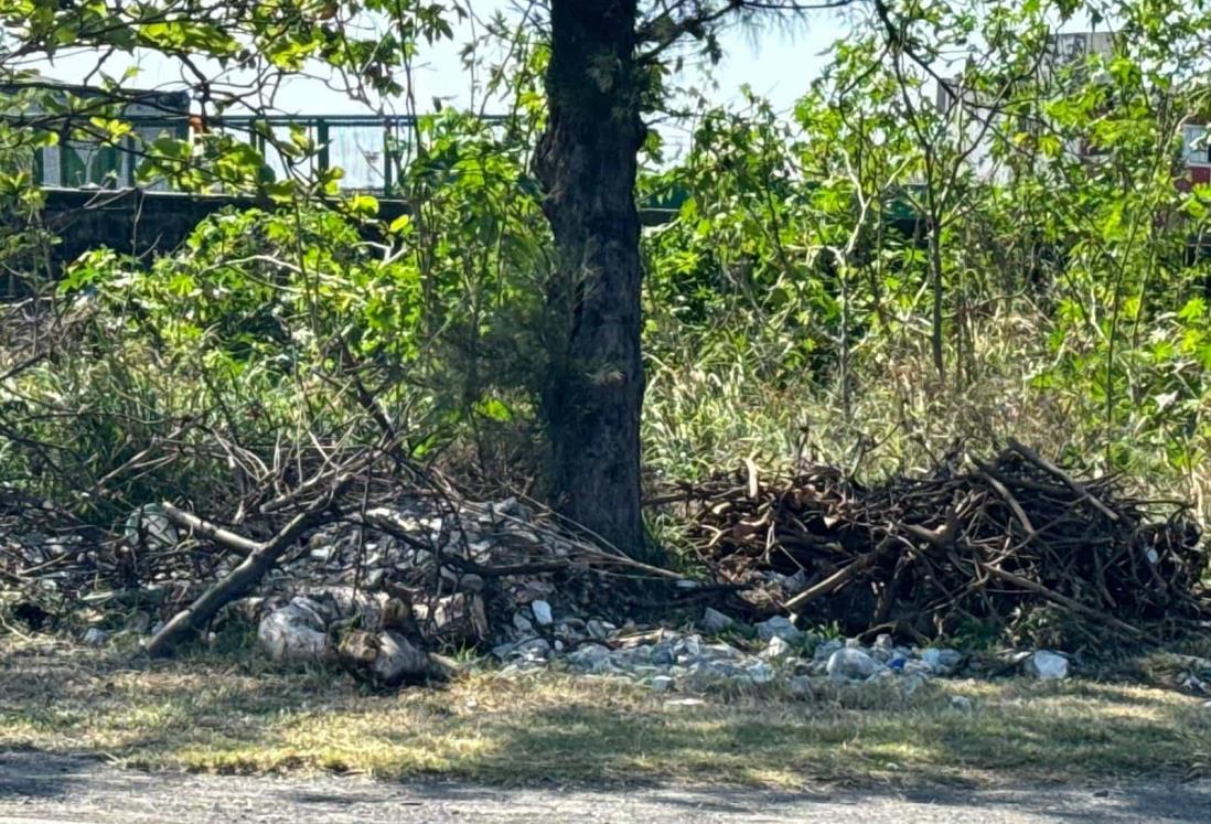 Convierten terreno en basurero en Veracruz