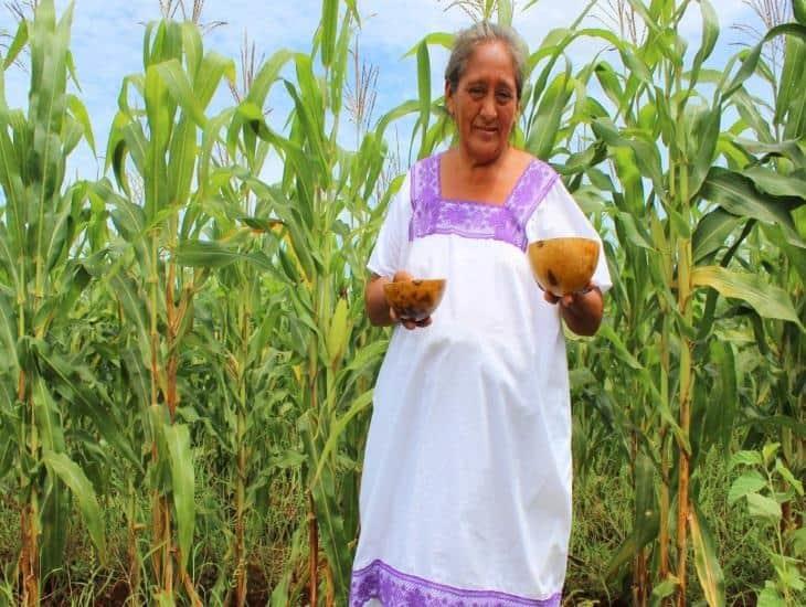 ¿Por qué el 15 de febrero es el Día de la Mujer Mexicana?