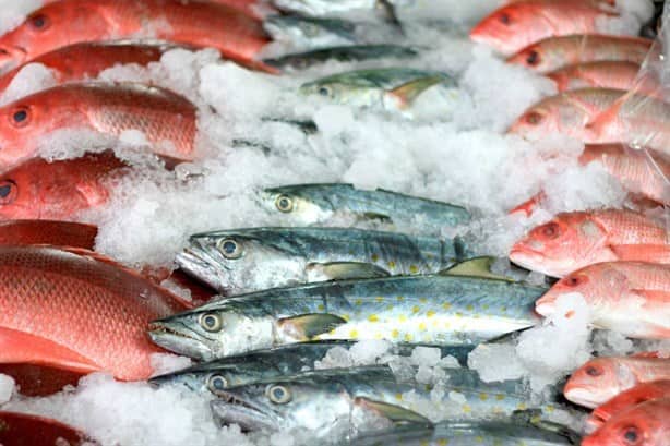 Estos son los pescados y mariscos que puedes consumir en Cuaresma, según Profeco