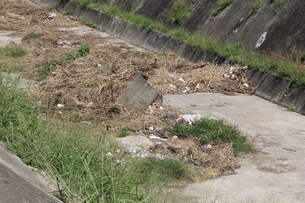 Dejan montaña de hierba cortada en Lagos de Puente Moreno, en Medellín