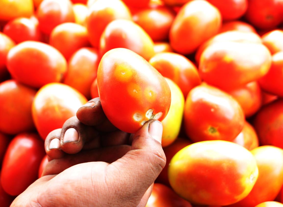 A la baja frutas y verduras; campesinos rematan productos en Coatzacoalcos