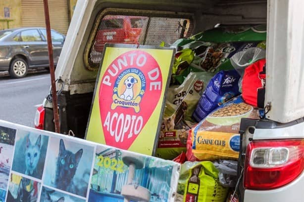 Estos artículos puedes llevar al Croquetón en Veracruz este domingo