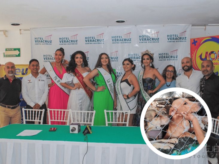 Miss Earth Veracruz realizará desfile de modas y evento de adopción