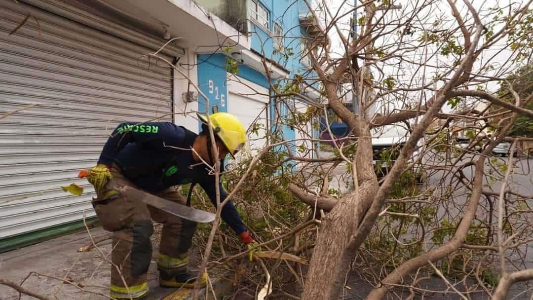 Ayuntamiento de Boca del Río atiende afectaciones por el Frente Frío 35