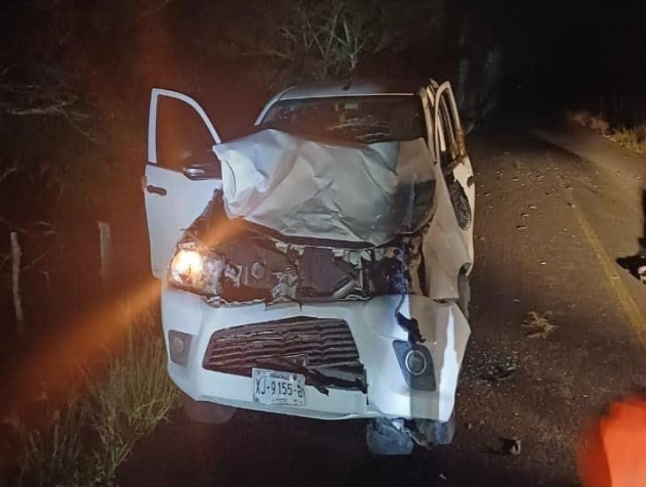 Camioneta choca contra una vaca en carretera a Tlalixcoyan