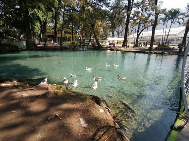 Conoce la majestuosa laguna de Veracruz que se formó por el deshielo del Pico de Orizaba