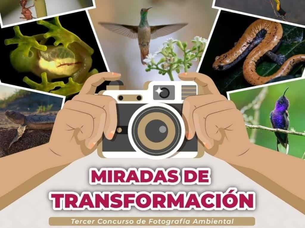 Miradas de transformación: Tercer concurso de fotografía ambiental; aquí los requisitos