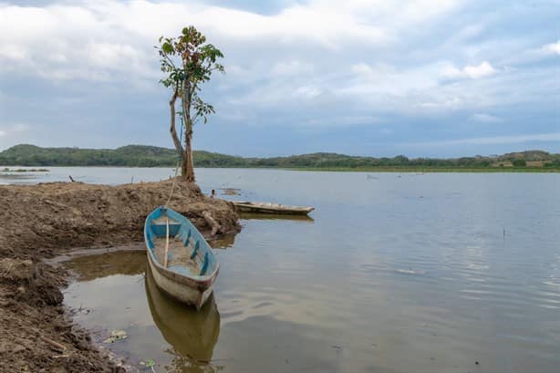 Así avanza el rescate de la laguna más grande de Veracruz | FOTOS