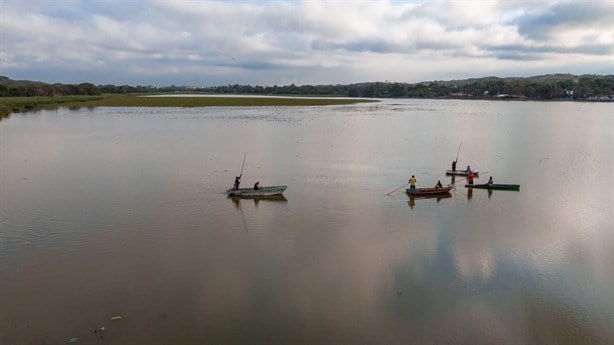 Así avanza el rescate de la laguna más grande de Veracruz | FOTOS