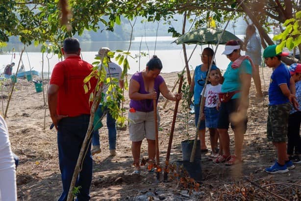 Así avanza el rescate de la laguna más grande de Veracruz | FOTOS