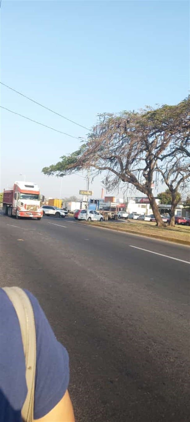 Tren arrolla a tráiler en la carretera Veracruz – Xalapa | VIDEO