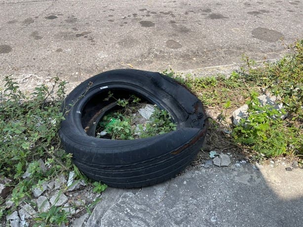 Abandonan llantas en calles de Veracruz