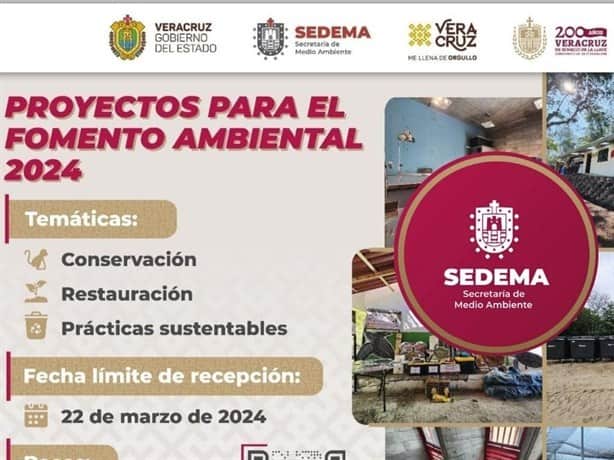 SEDEMA busca mitigar el impacto ambiental financiando proyectos