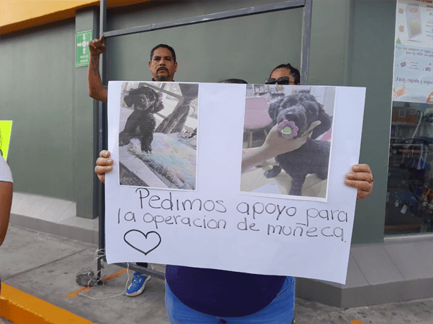 Organizan colecta para apoyar a una de las perritas atropelladas en Rio Medio 3