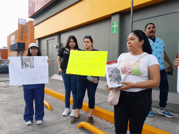 Organizan colecta para apoyar a una de las perritas atropelladas en Rio Medio 3