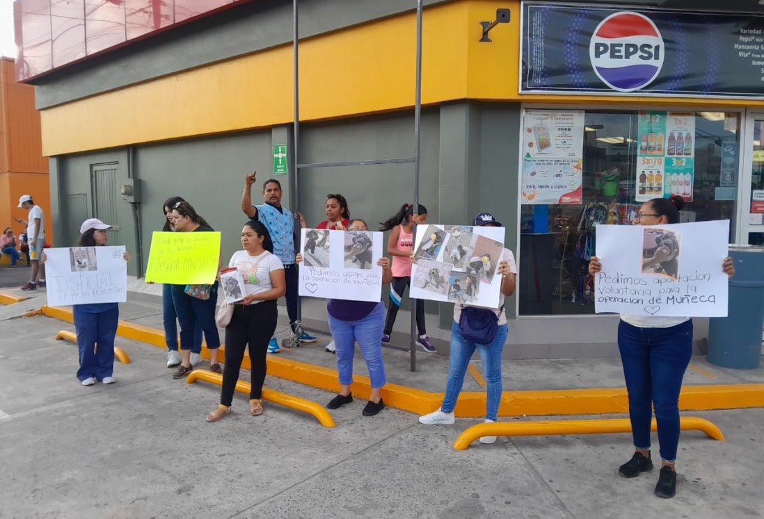 Organizan colecta para apoyar a una de las perritas atropelladas en Rio Medio 3