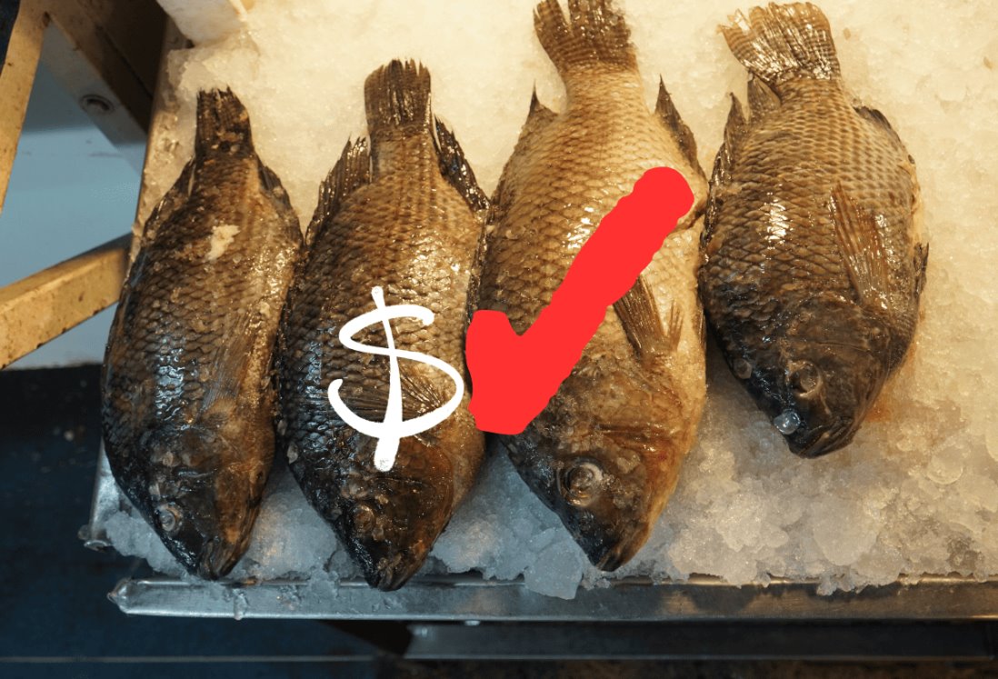 ¿Qué pescados son ricos y económicos para consumir en Cuaresma?