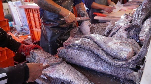 ¿Qué pescados son ricos y económicos para consumir en Cuaresma?